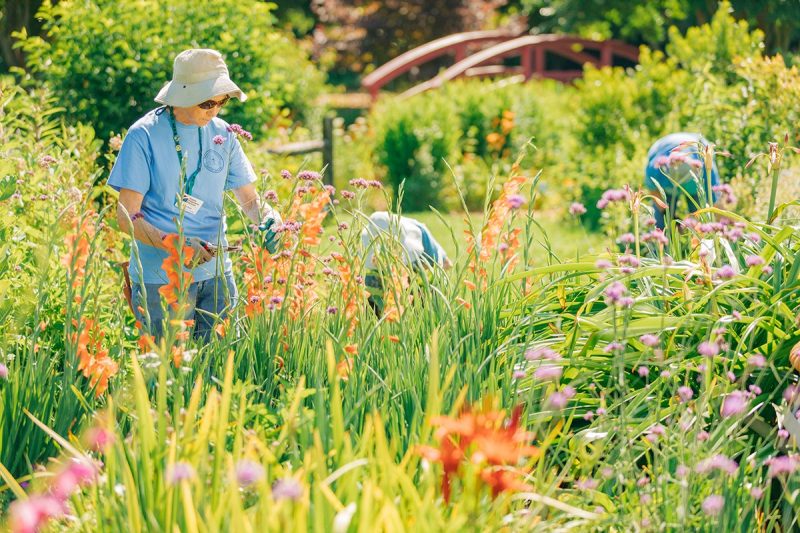 people in the Hampton Roads AREC flower garden